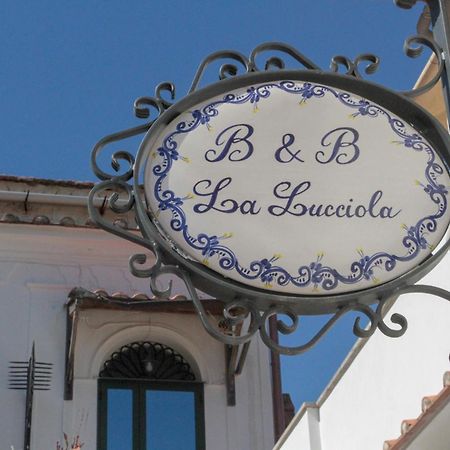 La Lucciola Lejlighed Amalfi Eksteriør billede